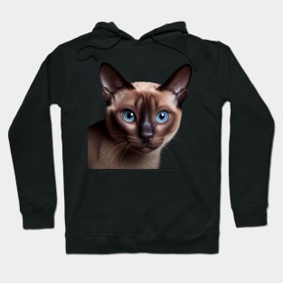 Tonkinese Cat - A Sweet Gift Idea For All Cat Lovers And Cat Moms Hoodie